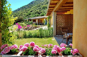 Li Teggi Turismo Rurale San Teodoro